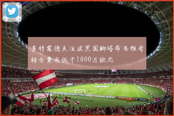 多特蒙德关注波黑国脚塔希洛维奇转会费或低于1000万欧元